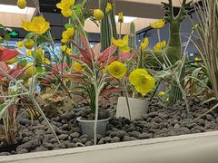 -Wood Garden(合生汇店)