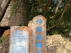 -鹿回头风景区