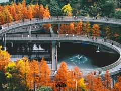 -福道