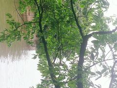 -协同和机器厂博物馆