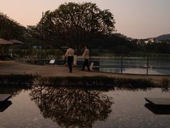 -白云湖畔酒店-湖畔餐厅