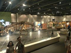 -香港科学馆