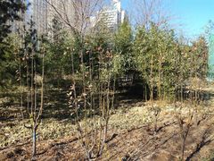 -唐山抗震纪念碑广场