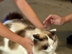 -白兔子密室(长寿路店)