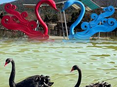 -无锡动物园·太湖欢乐园