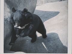 -青峰峡国家森林公园