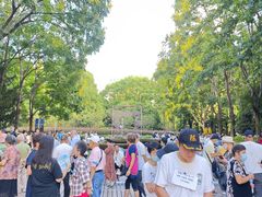 -人民公园-相亲角