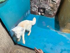 -大连圣亚海洋世界