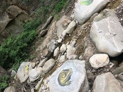 -黑龙潭风景区