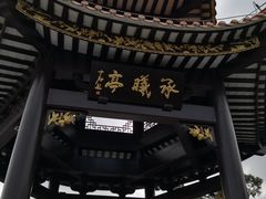 -野狸岛