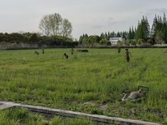 -嘉北郊野公园