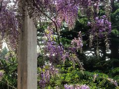 -北京市劳动人民文化宫(太庙)