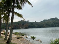 -深圳仙湖植物园