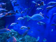 -成都浩海立方海洋公园