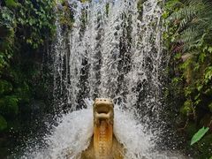 -深圳仙湖植物园
