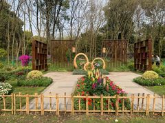 -上海共青森林公园