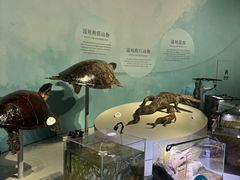 -中国湿地博物馆