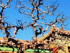 -好利来(团结湖店)