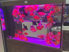 -三旗百汇商品城