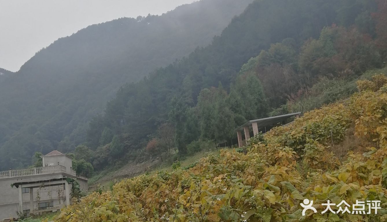 山清水秀的地方