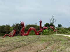 -杭州湾海上花田景区