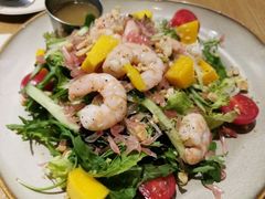 -HELLO 27 意面·沙拉·帕尼尼