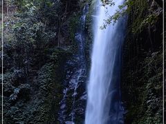 -莫里热带雨林景区