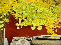 -北京石刻艺术博物馆(五塔寺)