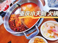 鸳鸯锅-重庆小天鹅(英雄山路店)