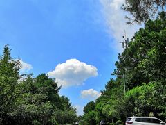 -铁山坪森林公园