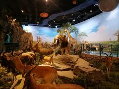 -陕西自然博物馆