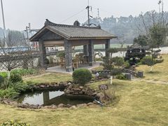 -马村鱼头