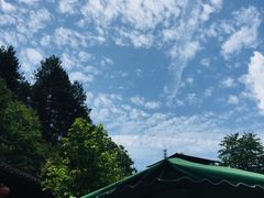 -悠然山高山湿地景区悠然自得庭
