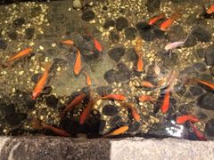 -邈墨茶馆(凤起路店)