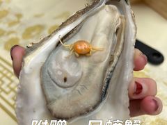高压生蚝-聚味瞿记·龙虾堂(咸嘉湖店)