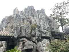 -荔湾湖公园