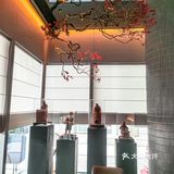 高品质私房菜 | 好一场杏花美宴🍃