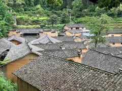 -杨家堂村