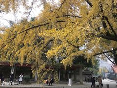 -四川大学(华西校区)