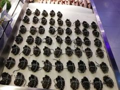 -盒马鲜生(大成店)