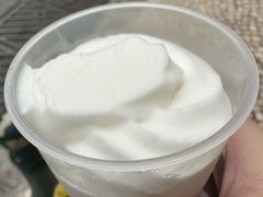 -洪馨椰子