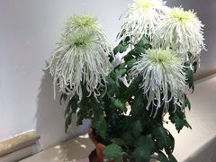 -汇龙潭