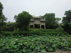 -西溪国家湿地公园