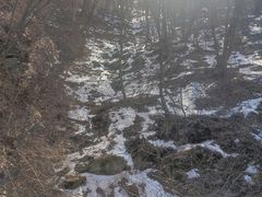 -少华山国家森林公园
