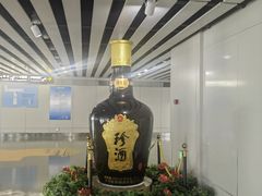 -贵阳龙洞堡国际机场-T2航站楼