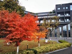 -苏州清山会议中心