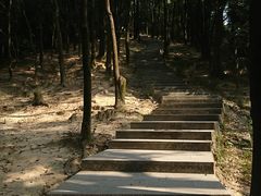 -火炉山森林公园