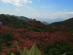 -大围山国家森林公园