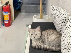 -瑞鹏·疫苗·绝育·宠物医院(金沙洲店)