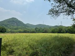 -八卦田遗址公园